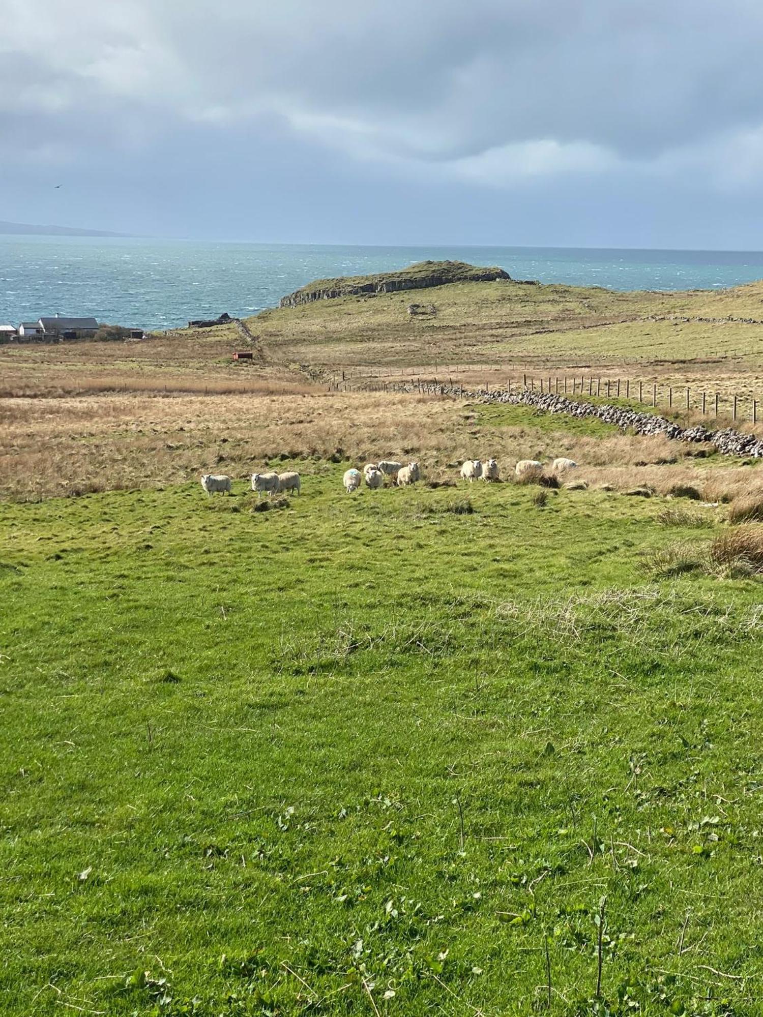 Cnoc Ruaraidh Cottage Kilmuir  Exteriér fotografie
